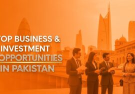 business and investment opportunities