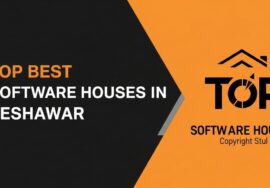 Best Software house in peshawar
