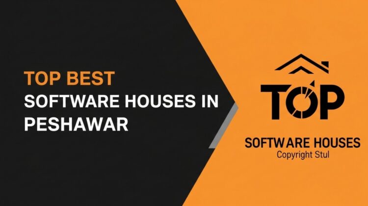 Best Software house in peshawar