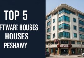 Top 5 best software house in peshawar