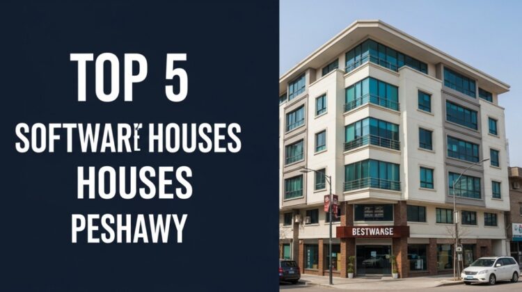 Top 5 best software house in peshawar