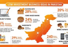 Low Investment Business Ideas