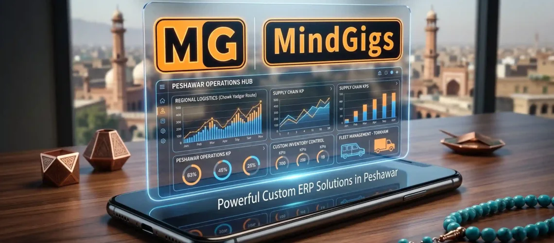 Powerful Custom ERP Solutions in Peshawar